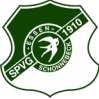 SV索尼克斯首发阵容